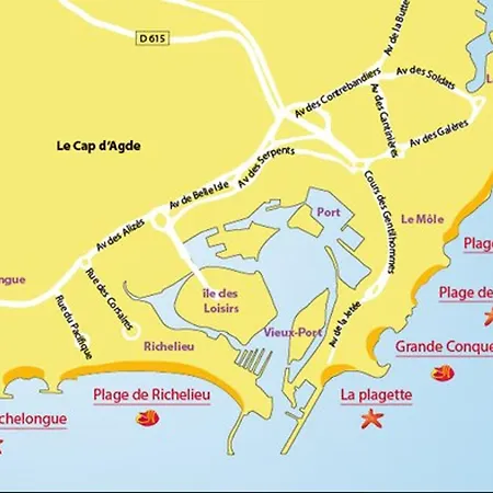 Daire 4 Pers, Centre Port Agde, Proche Commerces Et Plage, Securisee, Animaux Acceptes - Fr-1-749-33 Agde