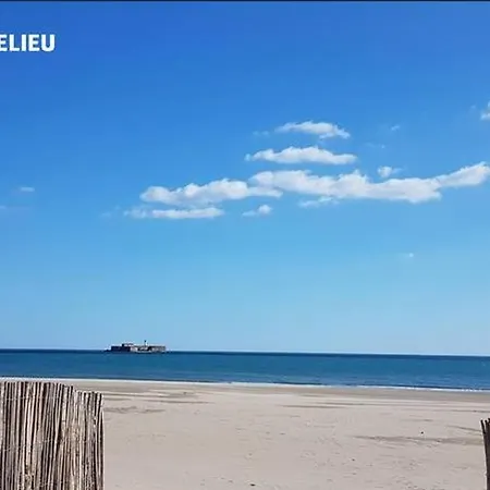 Daire 4 Pers, Centre Port Agde, Proche Commerces Et Plage, Securisee, Animaux Acceptes - Fr-1-749-33