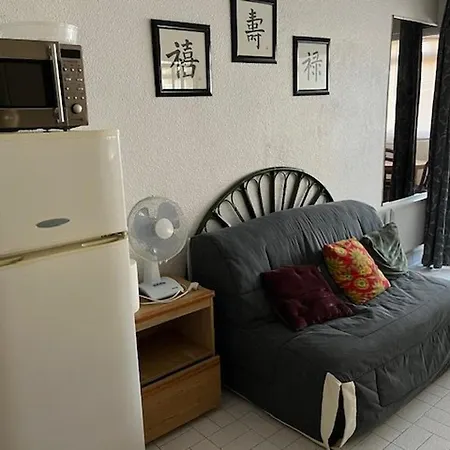 4 Pers, Centre Port Agde, Proche Commerces Et Plage, Securisee, Animaux Acceptes - Fr-1-749-33 Daire