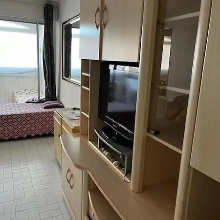 Daire 4 Pers, Centre Port Agde, Proche Commerces Et Plage, Securisee, Animaux Acceptes - Fr-1-749-33 *