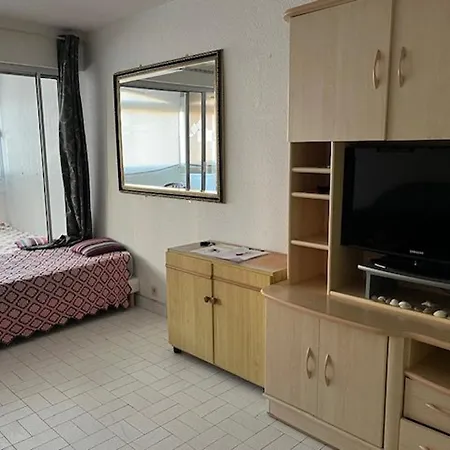 4 Pers, Centre Port Agde, Proche Commerces Et Plage, Securisee, Animaux Acceptes - Fr-1-749-33 Daire